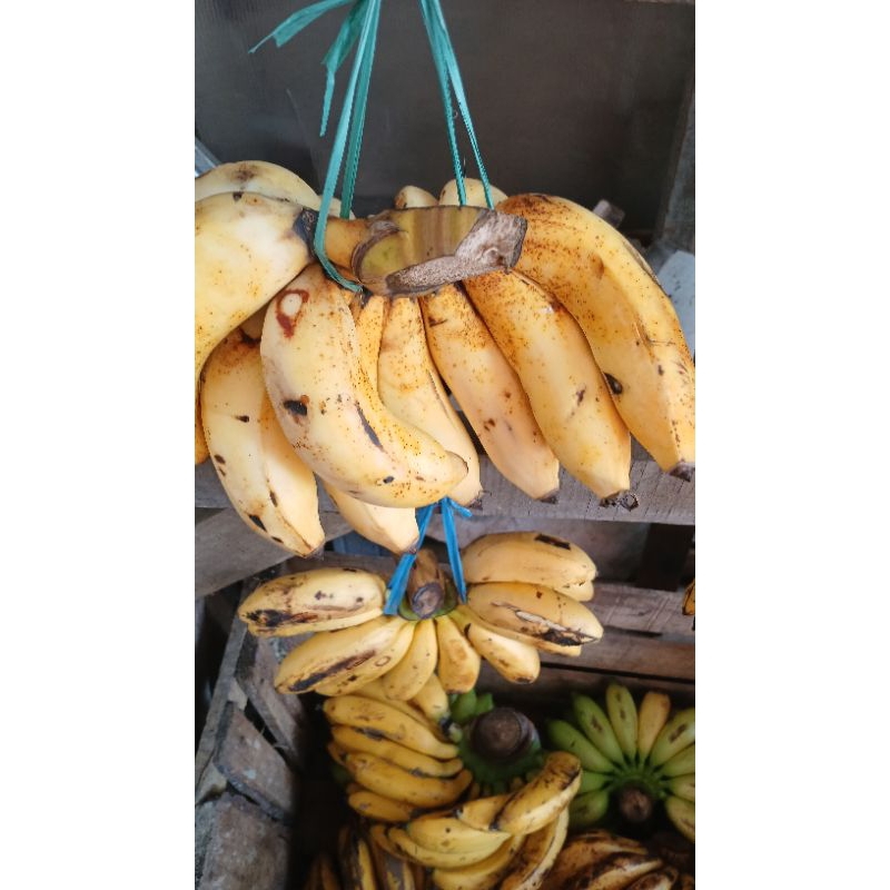 

Pisang Raja Sereh/pisang susu