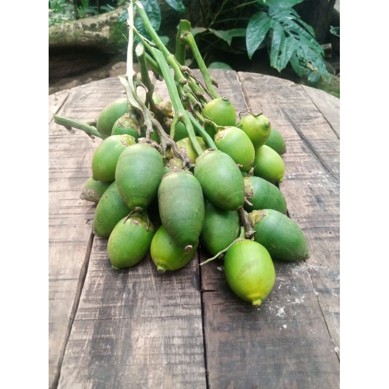 

Buah Pinang Muda/Jambe Muda/Bahung segar Petik dari pohon/ Untuk Stamina Pria