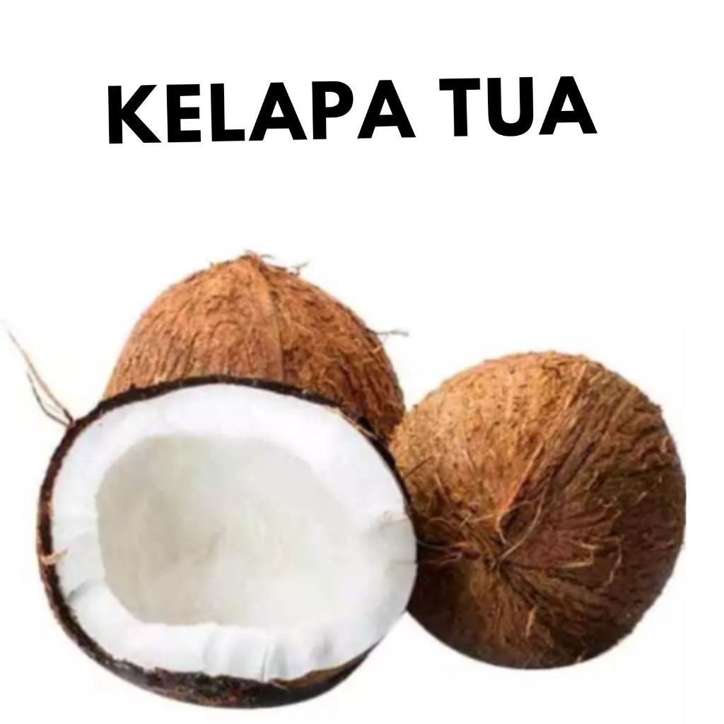 

Kelapa Tua pilihan Bahan Santan/Kelapa Tua Utuh/Buah Kelapa/Kelapa Kering