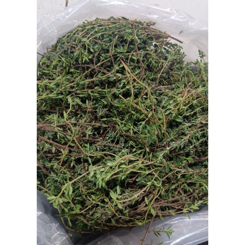 

daun theme 1pack 25gr
