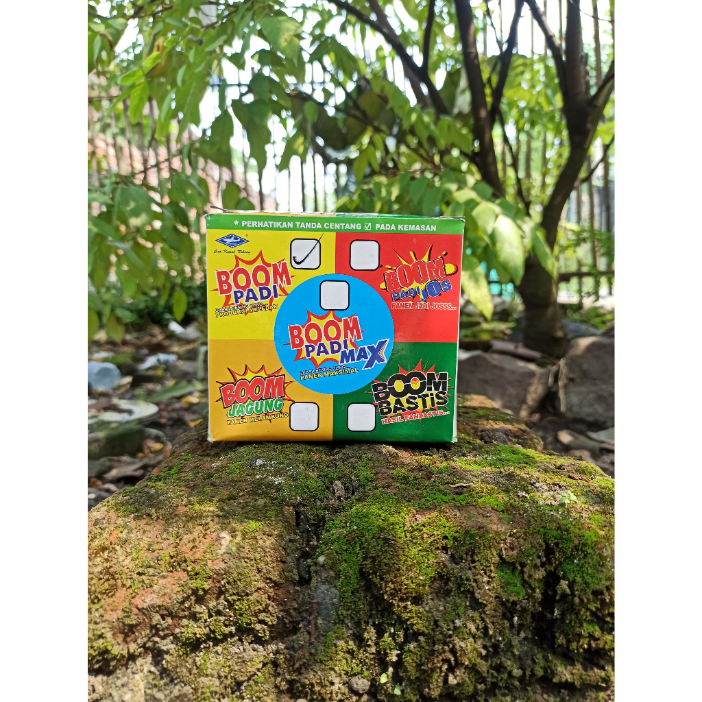 Paket Bom Padi Gabah Bening Cling Produksi Meledak