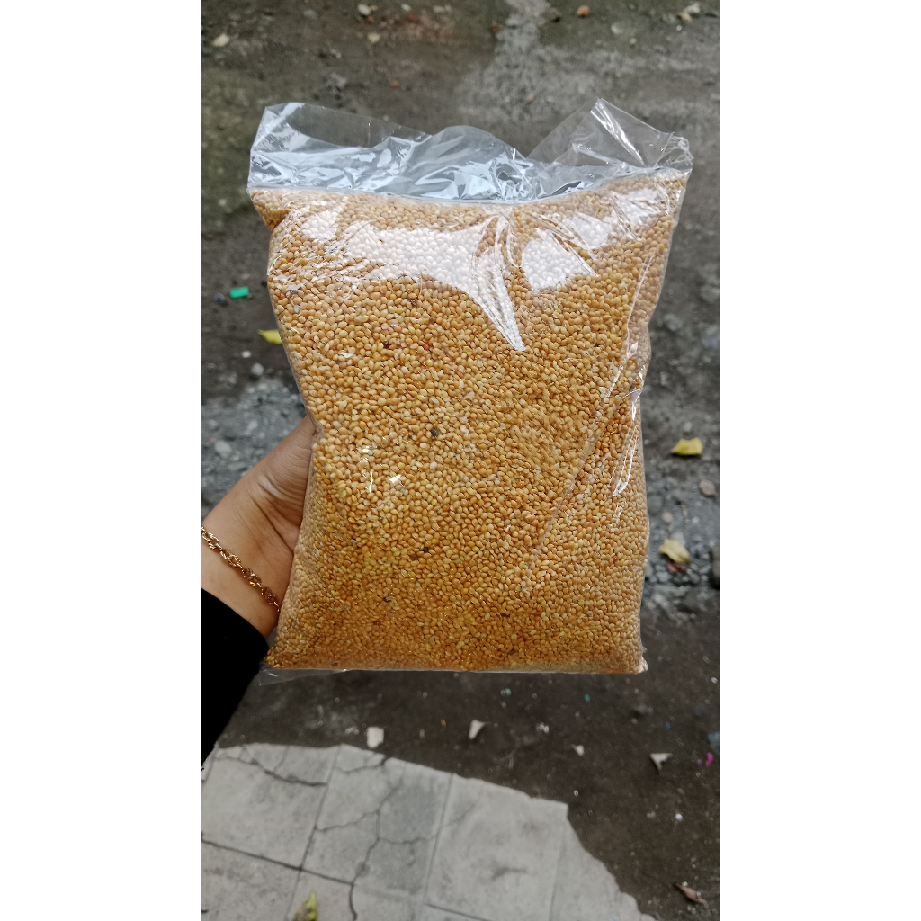 milet  kuning milet yellow pakan harian burung biji milet