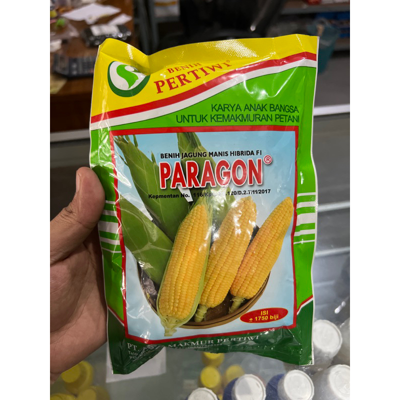 jagung paragon