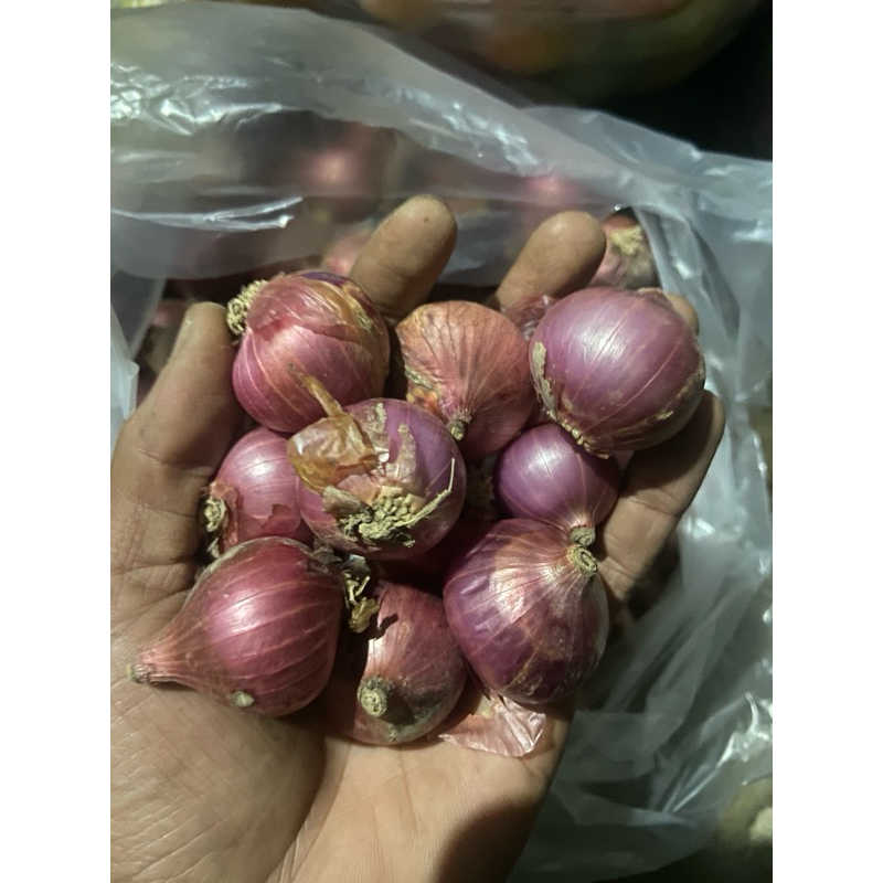 

PAKET HEMAT bawang merah 5 kg besar super