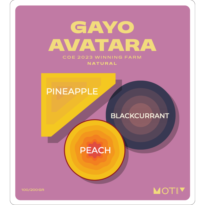 

Gayo Avatara - Motiv Coffee - Biji Kopi