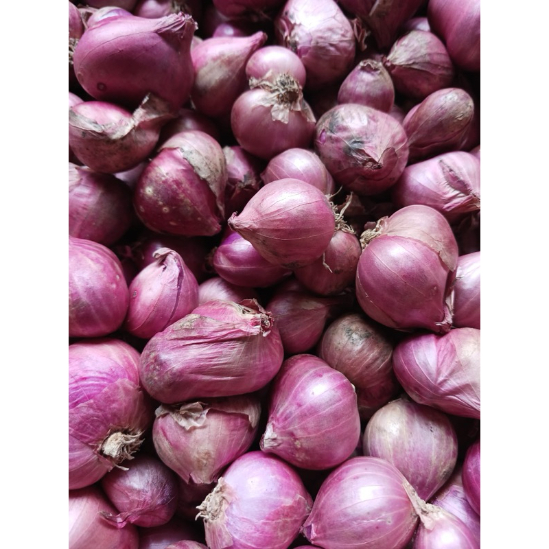 

Bawang Merah Murah