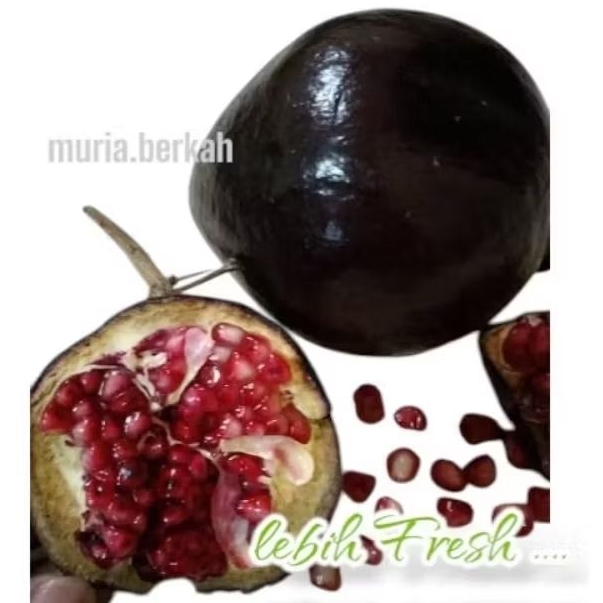 

Delima Hitam Super Delima Ungu Delima Wulung Hemat 1 Kg