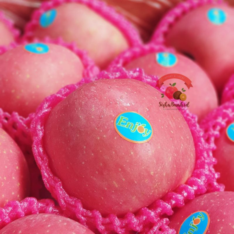 

APEL FUJI PREMIUM - FRESH IMPORT FULL BLUSH