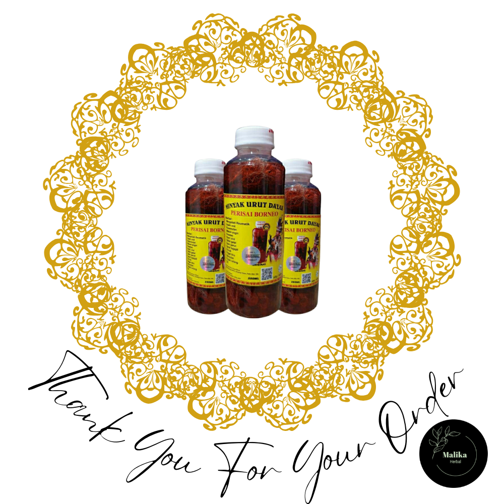 MINYAK URUT DAYAK BORNEO ASLI KALIMANTAN