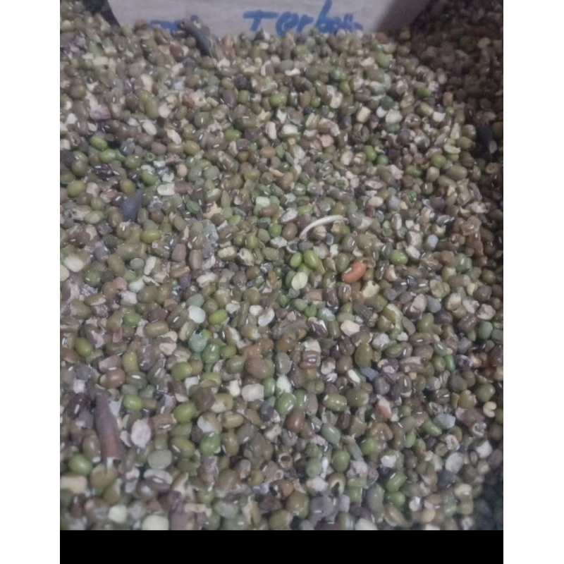 

kacang hijau paket 5 kg