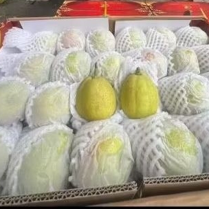 Buah Pear XIANGLI Jual Per 1 Dus karton