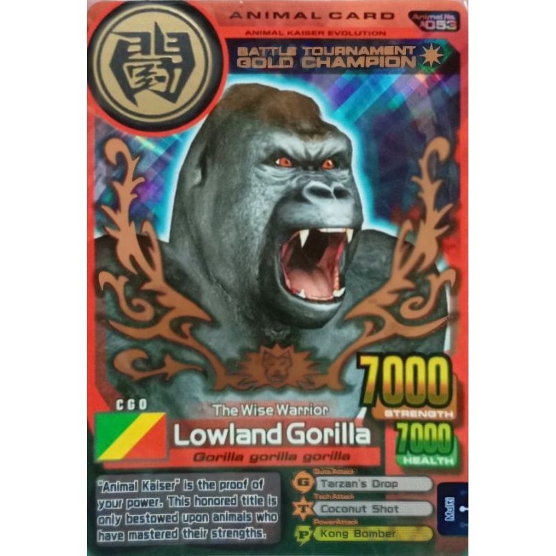 (KW) Animal Kaiser Lowland Gorilla Gold Champion