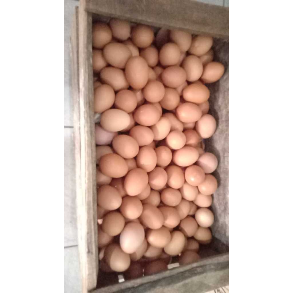

Telur Ayam Negri [ 1 Kg ]