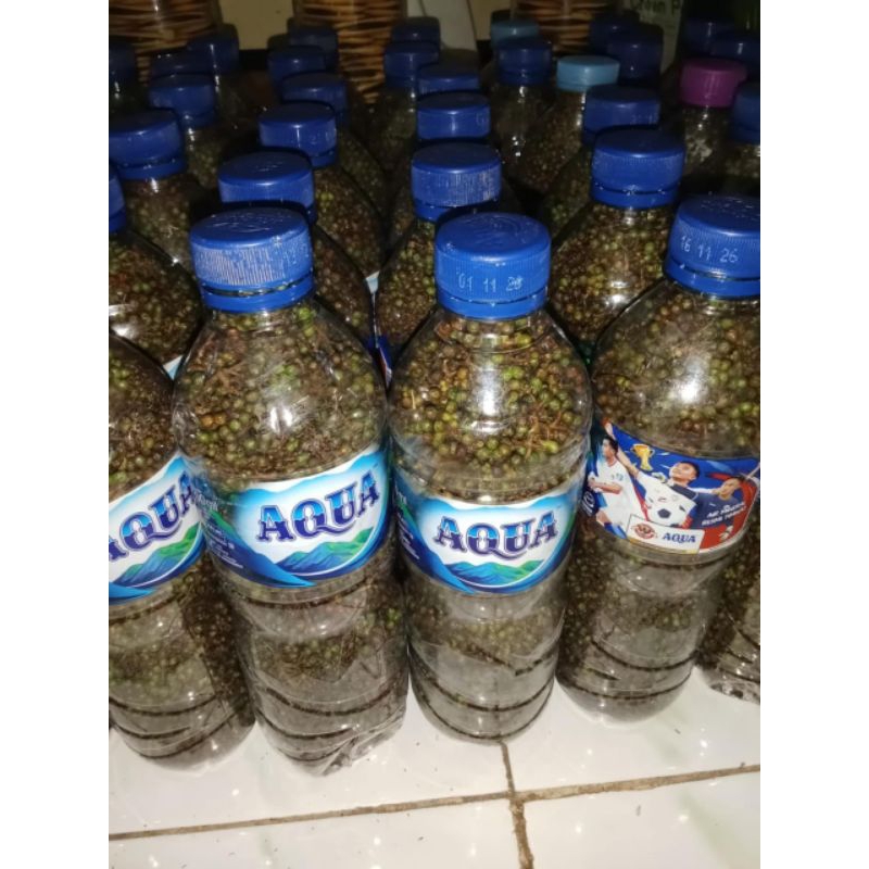 

Andaliman Toba , 500 Gram- 250 Gram ,Khas Asli Tapanuli Sumatra Utara Tuba Itir - Itir , Rempah Alami Tuba , ( Zanthoxylum Acanthopodium DC )