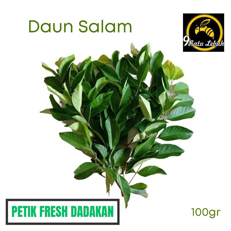 

Daun Salam Segar Organik 100g – Rempah Alami untuk Masakan & Herbal