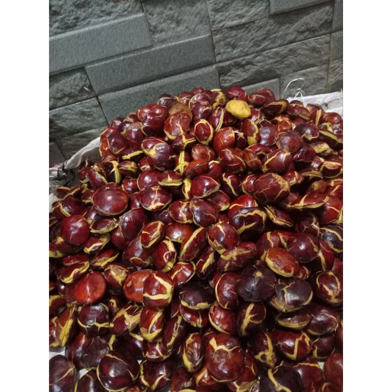 

jengkol super tua 1 kg