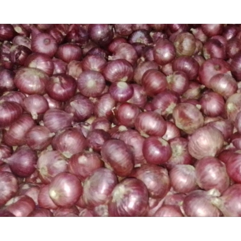 

RB Bawang Merah India/Bawang Peking 1kg