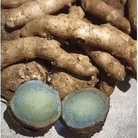 Temu Ireng. atau kunci hitam pilihan bersih dan fres 1 kg