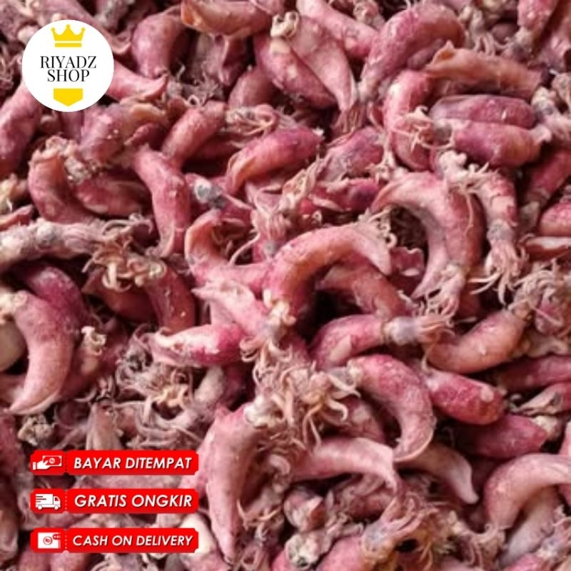 

CUMI ASIN KERING MURAH