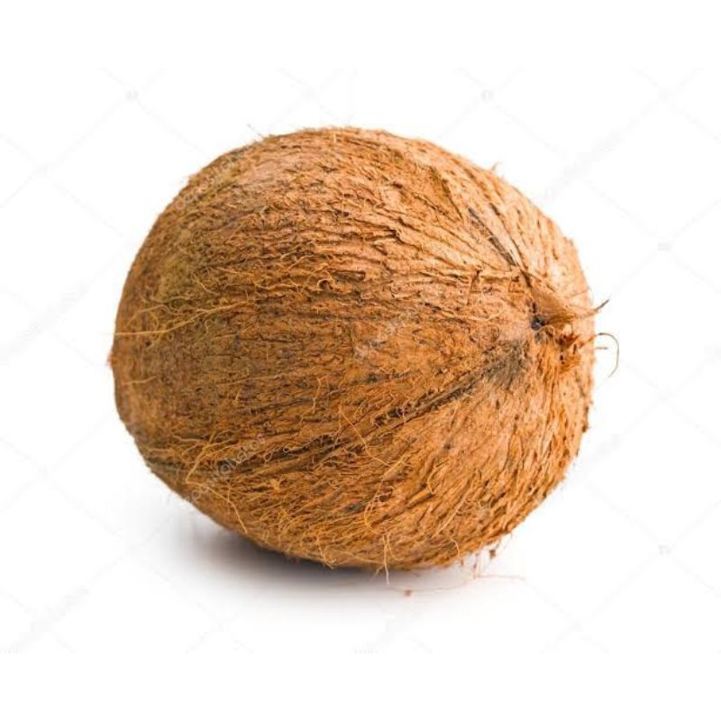 

kalapa utuh batok 1pc