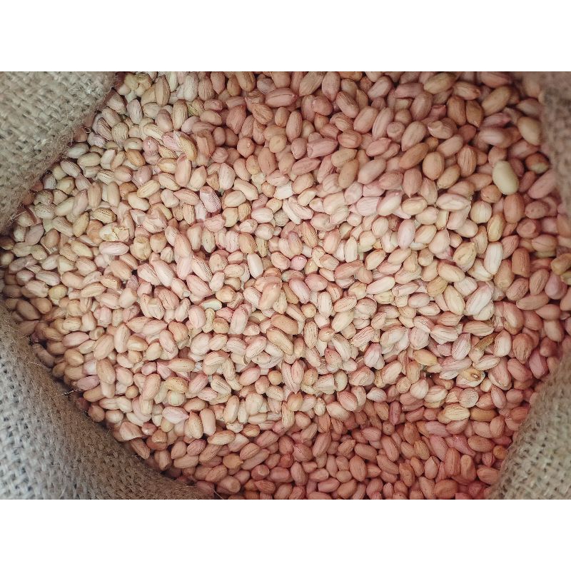

KACANG Lokal Super