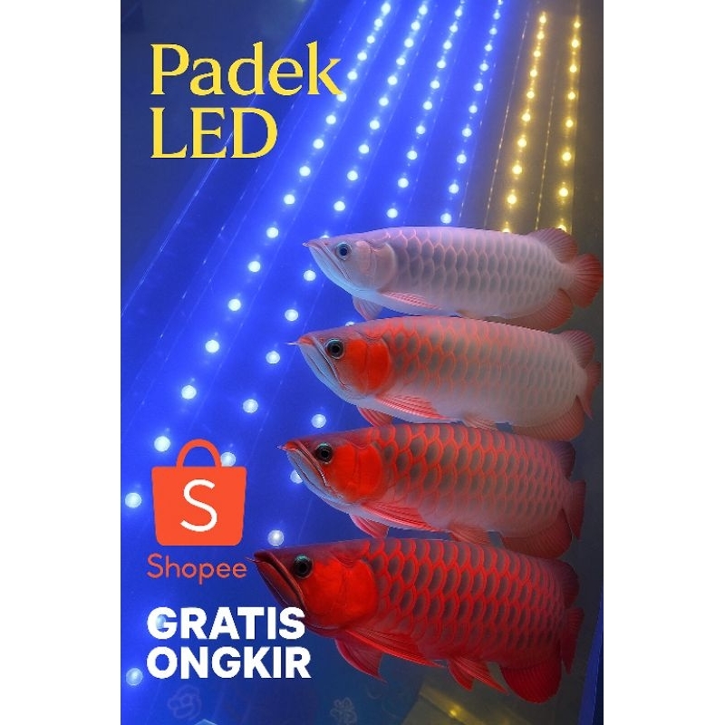 lampu tanning led  36 mata led 80cm -110cm 30.000k