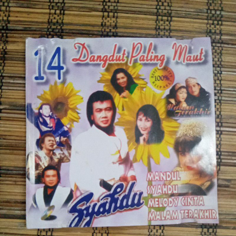 VCD 14 DANGDUT PALING MAUT DD0262