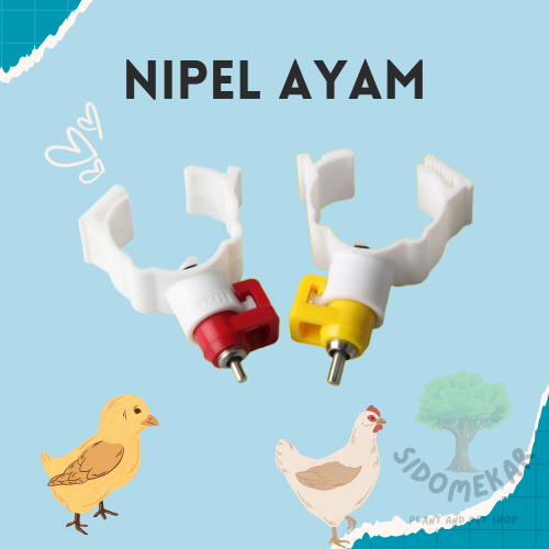 Nipple nipel nepel drinker ayam petelur A3 tanpa mangkok