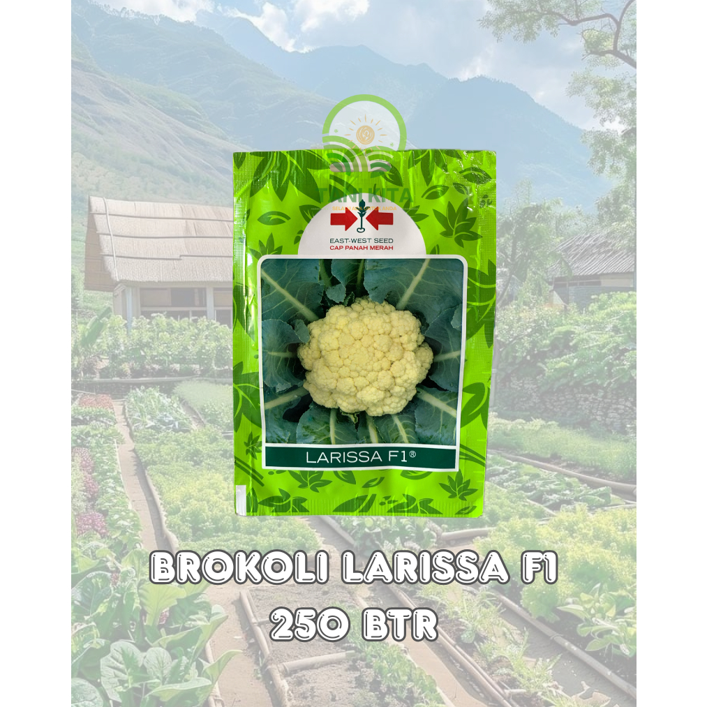 

BIBIT BROKOLI LARISSA F1