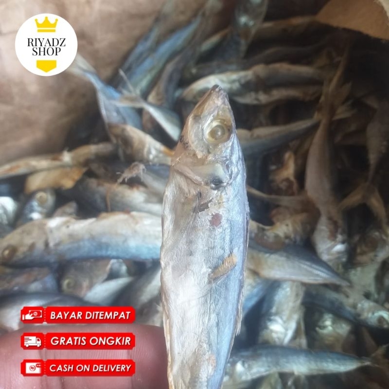 

Ikan asin peda buleud gurih dan murah