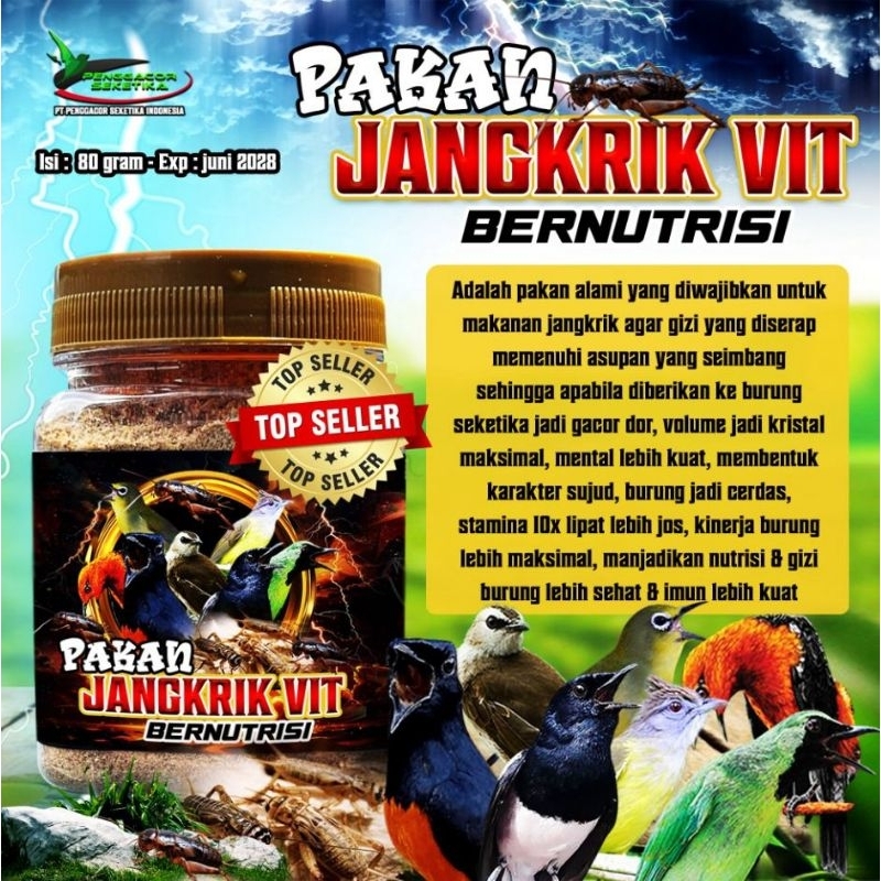 PAKAN JANGKRIK VIT / TINGKATKAN NUTRISI JANGKRIK