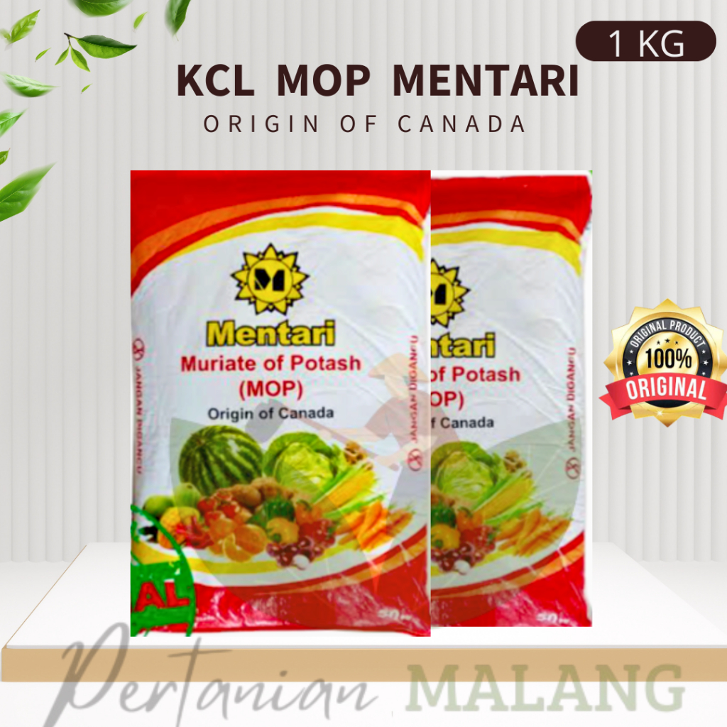 KCL MOP MENTARI, Pupuk peningkat kualitas dan kuantitas buah, Pembobot, Pemanis dan Pemberi Aroma pa