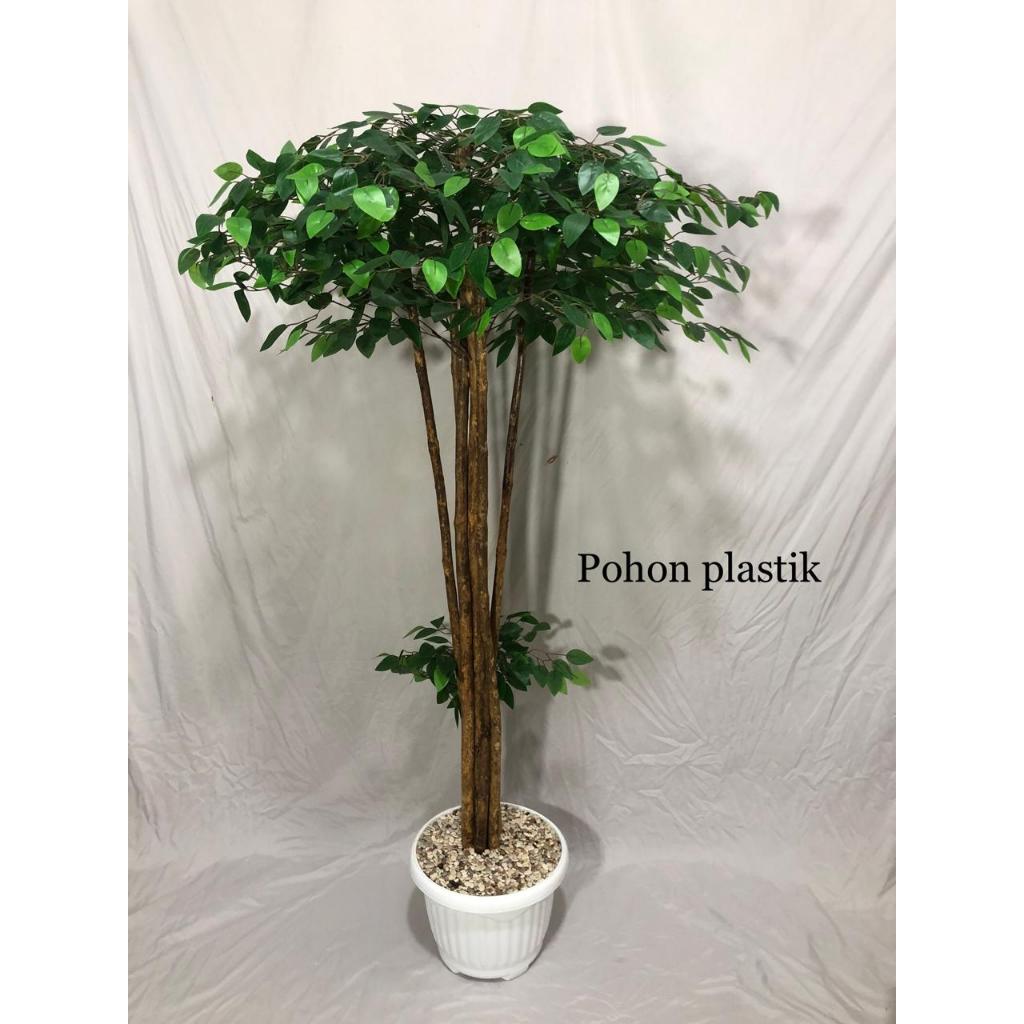 Pohon Beringin Artificial Tinggi 170cm Pot plastik Melamin / Pohon plastik / Pohon palsu beringin po
