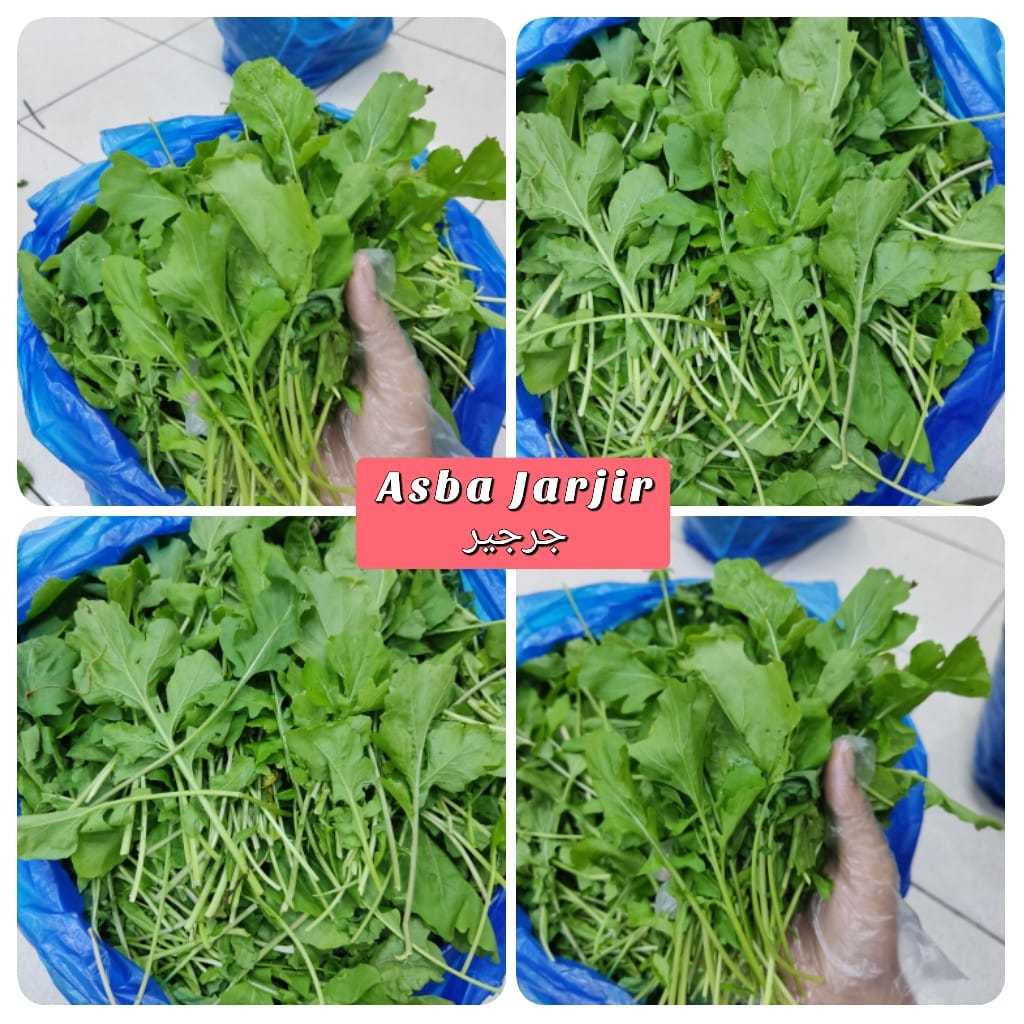 

ASBA SAYUR JARJIR 200G SEGAR