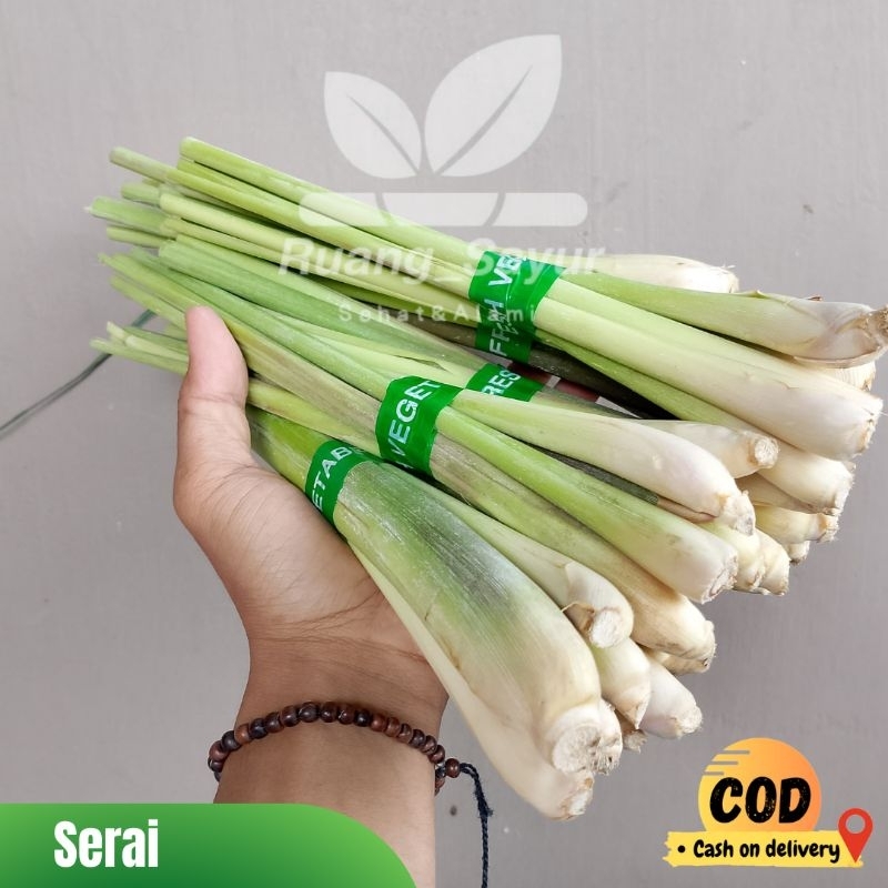 

Serai / Sereh , Serai Segar Wangi , Serai 1 Ikat