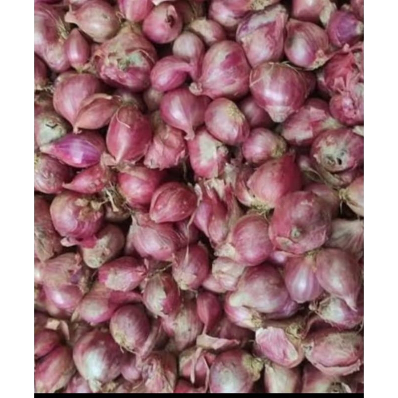 

Bumbu dapur bawang merah,putih,lombok,sereh,kemasan 250hr,50gr,1kg
