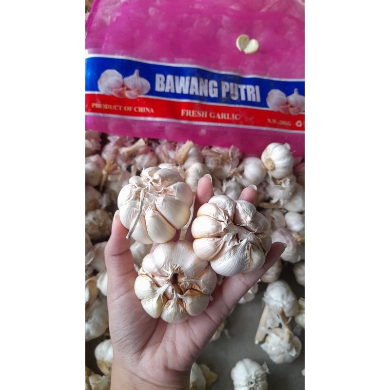 

Paket Usaha Grosir Bawang Putih Sinco Dan Bawang Kating Bersih dan Kering 3-5 kg