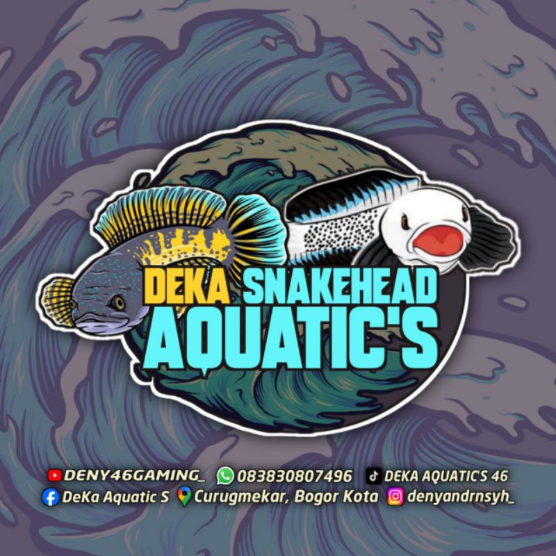 Auranti WC Grade A+ & B+ Size 5cm - 10cm