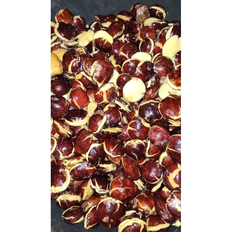 

JENGKOL FULL TUA 1KG