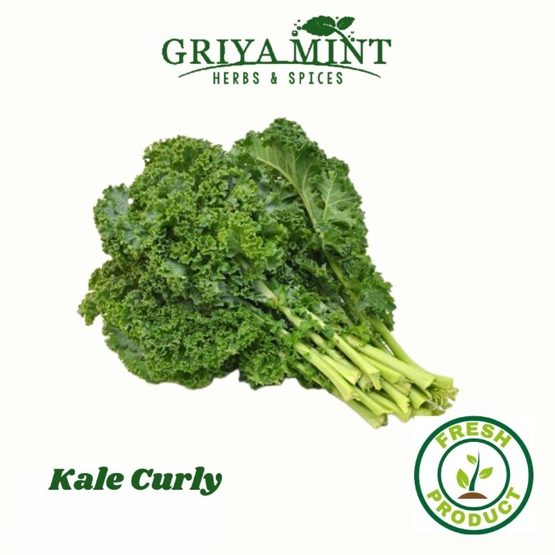 

Kale Curly/ Kale Keriting Segar 100 gram