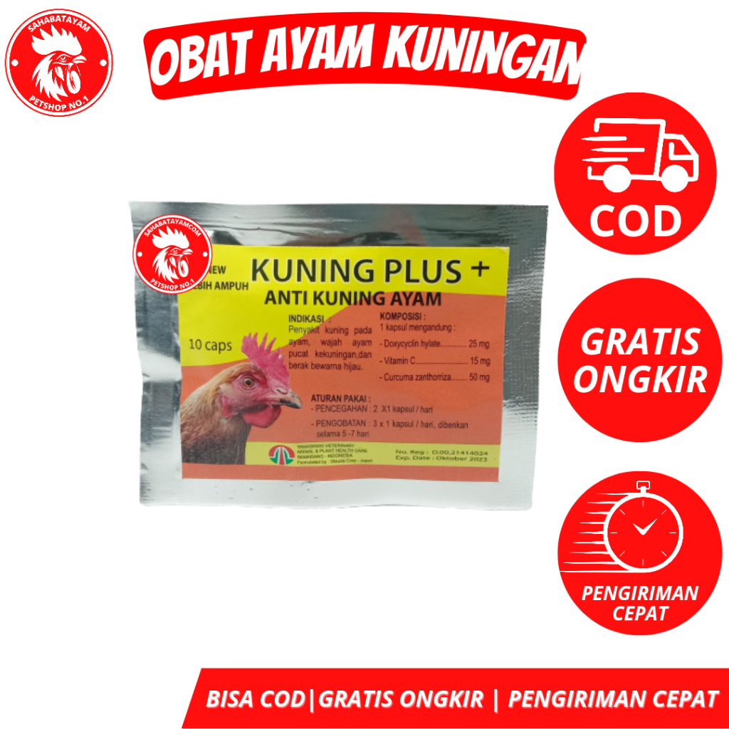 Kuning Plus Mengobati Ayam Pucat Anemia