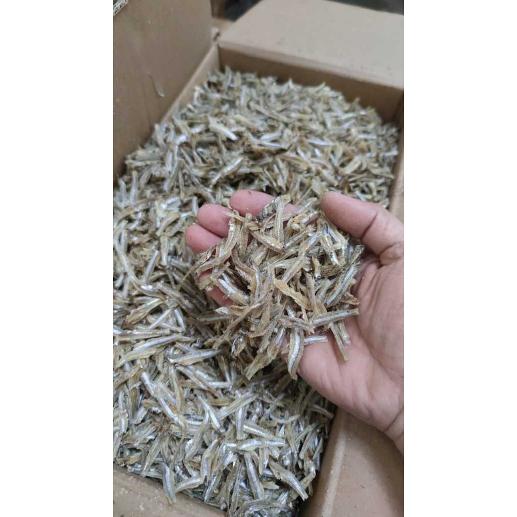 

KTr190 Teri Jengki Belah / Teri Belah Murah 1 Kg