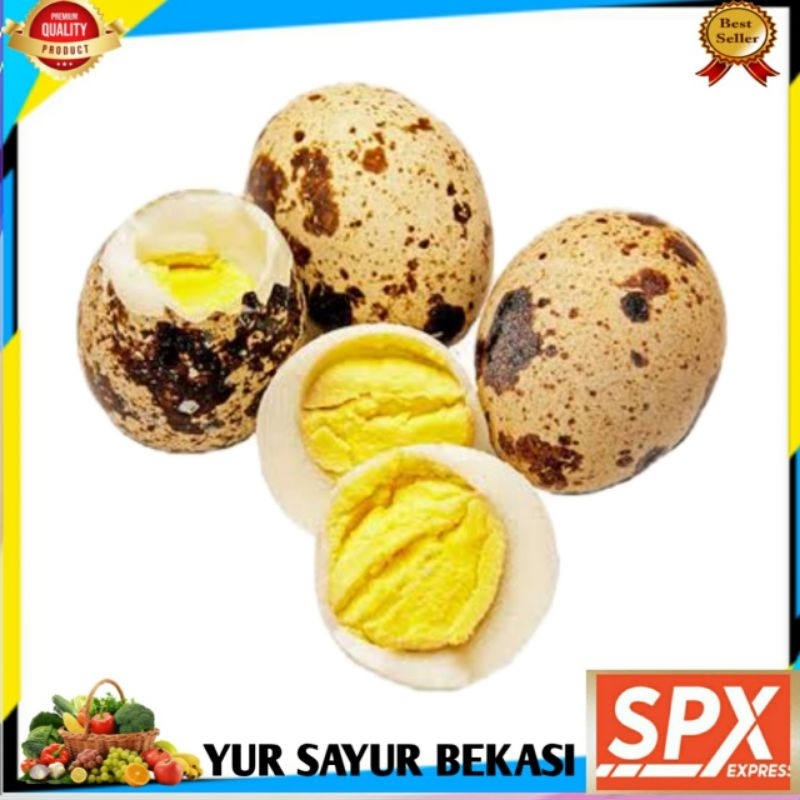 

Telur Puyuh Matang 10 Butir