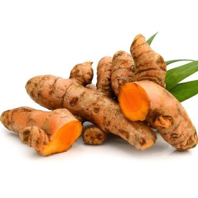 

kunir emprit kunir kunyit jamu asli segar organik 250gr 500gr 1kg