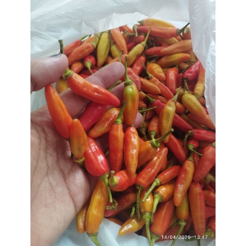 

cabe rawit ori 250gr