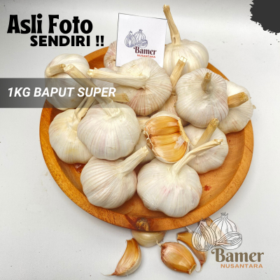 

Bawang PUTIH Termurah 1 KG 500 250 Gram Lokal Nganjuk Kering Baput Putih Bersih Premium Untuk Masakan 1/2 1/4 Kg Murah Promo Gratis Ongkir Kating Honan Sinco