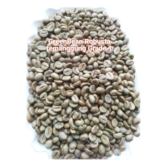 

Greenbean Kopi Robusta Temanggung Grade 1 Kemasan 1KG Biji Kopi Mentah