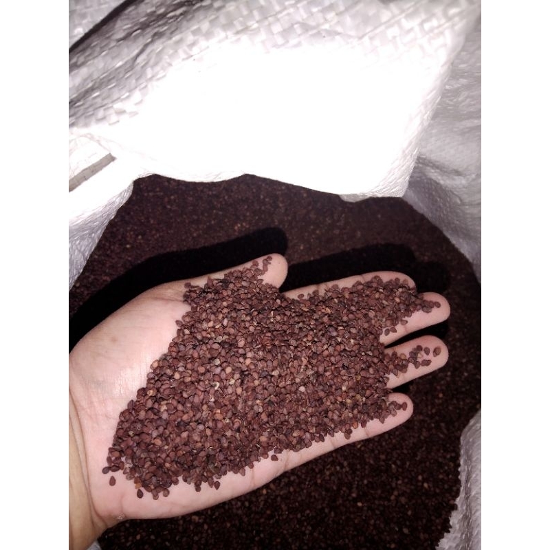 

WIJEN HITAM/BLACK SESAME/benne seed/black benniseed/vegetable sesame