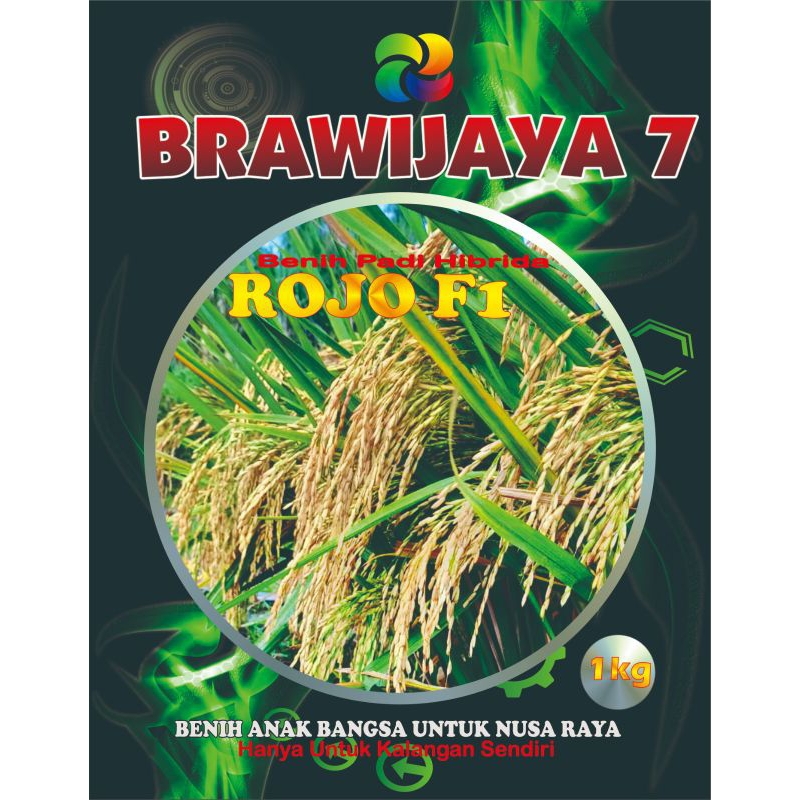 Benih Padi Hibrida ROJO F1