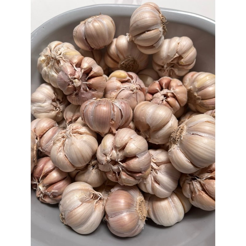 

Bawang Putih Honan Super Fresh 500gr